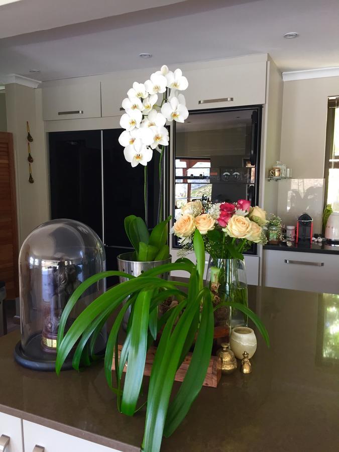 Bed and Breakfast Protea Point Kapsztad Zewnętrze zdjęcie